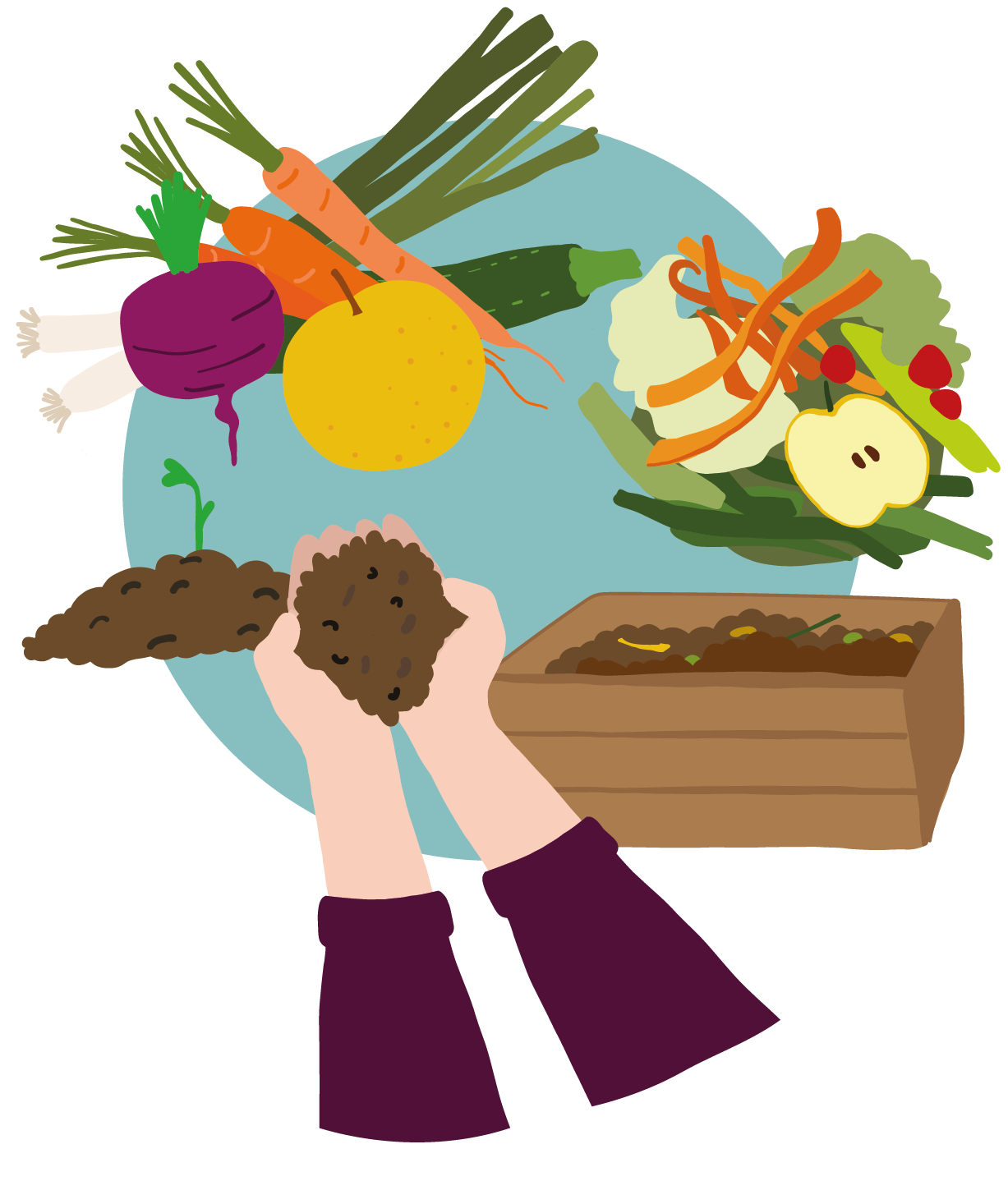 Dessin d'un cycle : un ensemble de légumes, betterave, carottes, poireau, dont on récupère les épluchures, mises au compost, utilisé pour faire pousser les légumes du début.