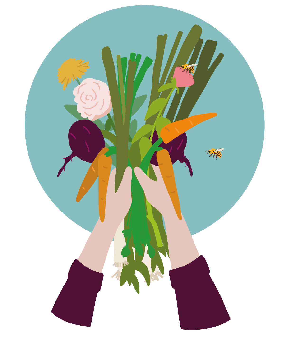 Dessin de deux mains tenant plusieurs légumes différents : poireau, betterave, carotte, etc. avec une abeille à côté